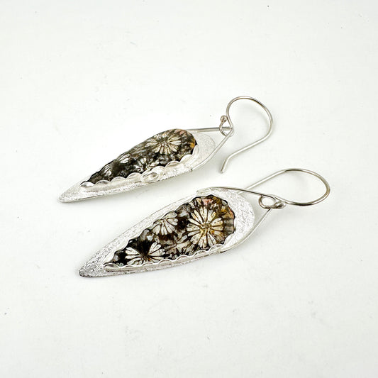 Fossil Coral Pointed Shield Earrings
