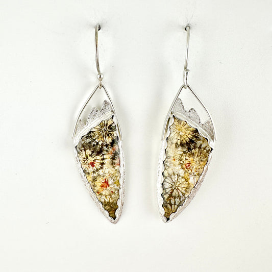 Fossil Coral Angel Wing Earrings