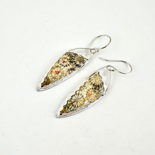 Fossil Coral Angel Wing Earrings