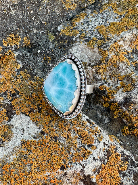 Freeform Larimar Ring Size 9