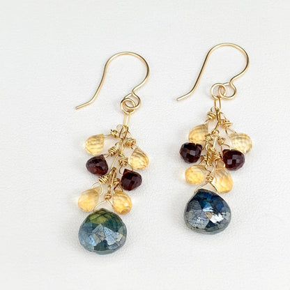 Gemstones Drop Harmony Earrings