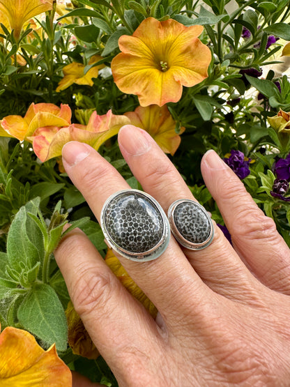 Oval Stingray Fossil Coral Ring Size 10