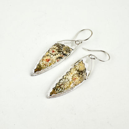 Fossil Coral Angel Wing Earrings