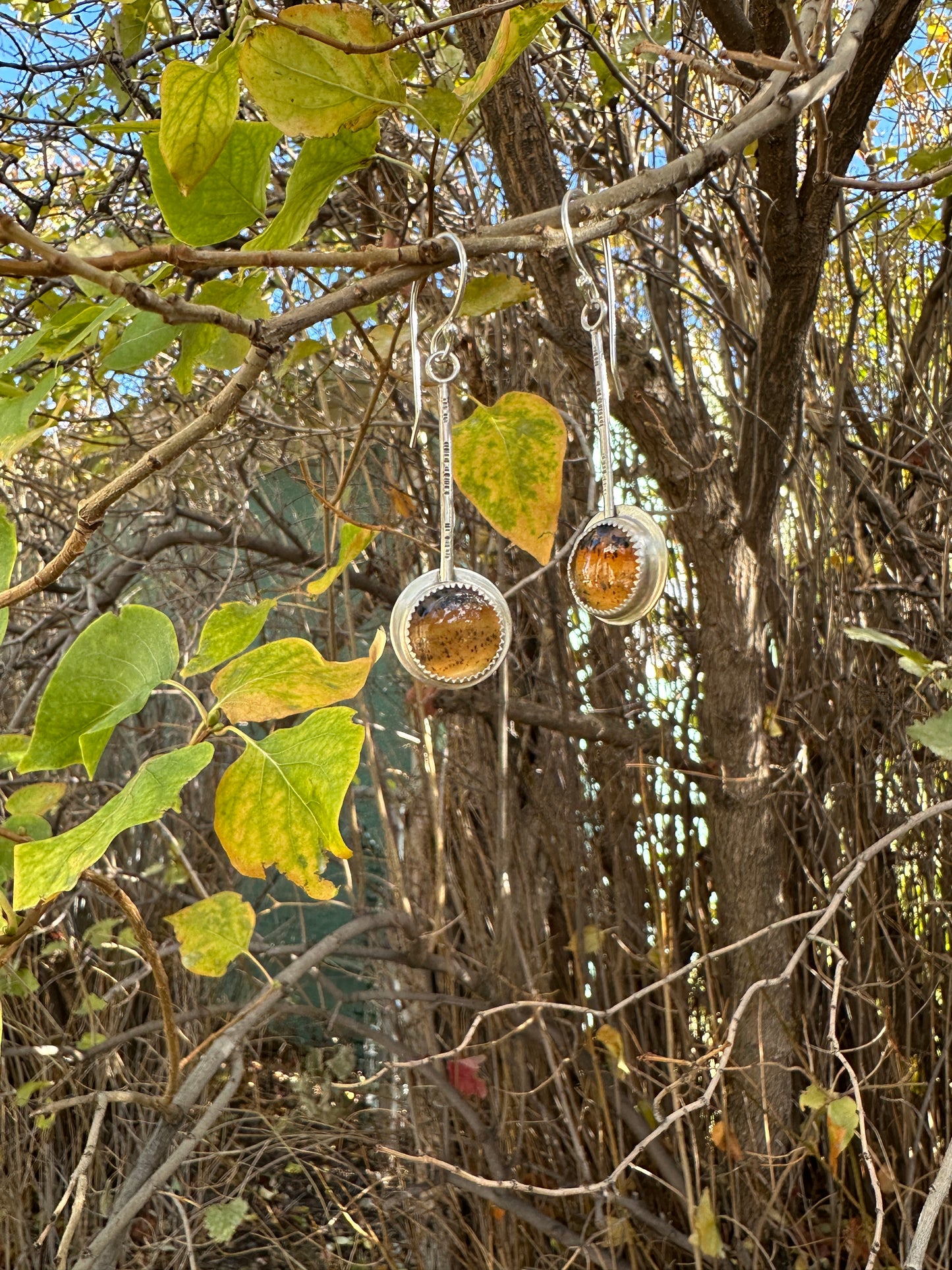 Montana Agate Pendulum Earrings