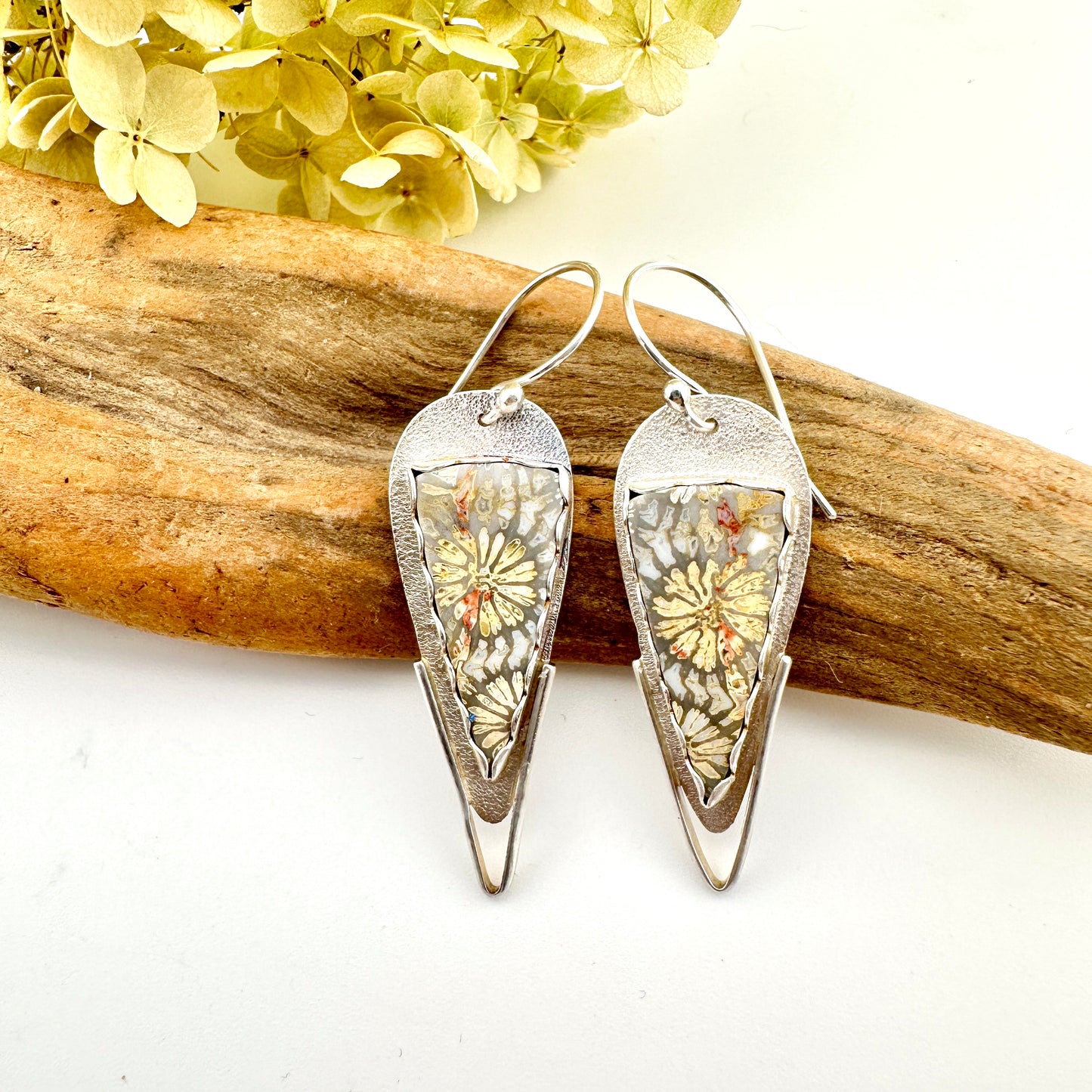 Fossil Coral Pointed Shield Earrings